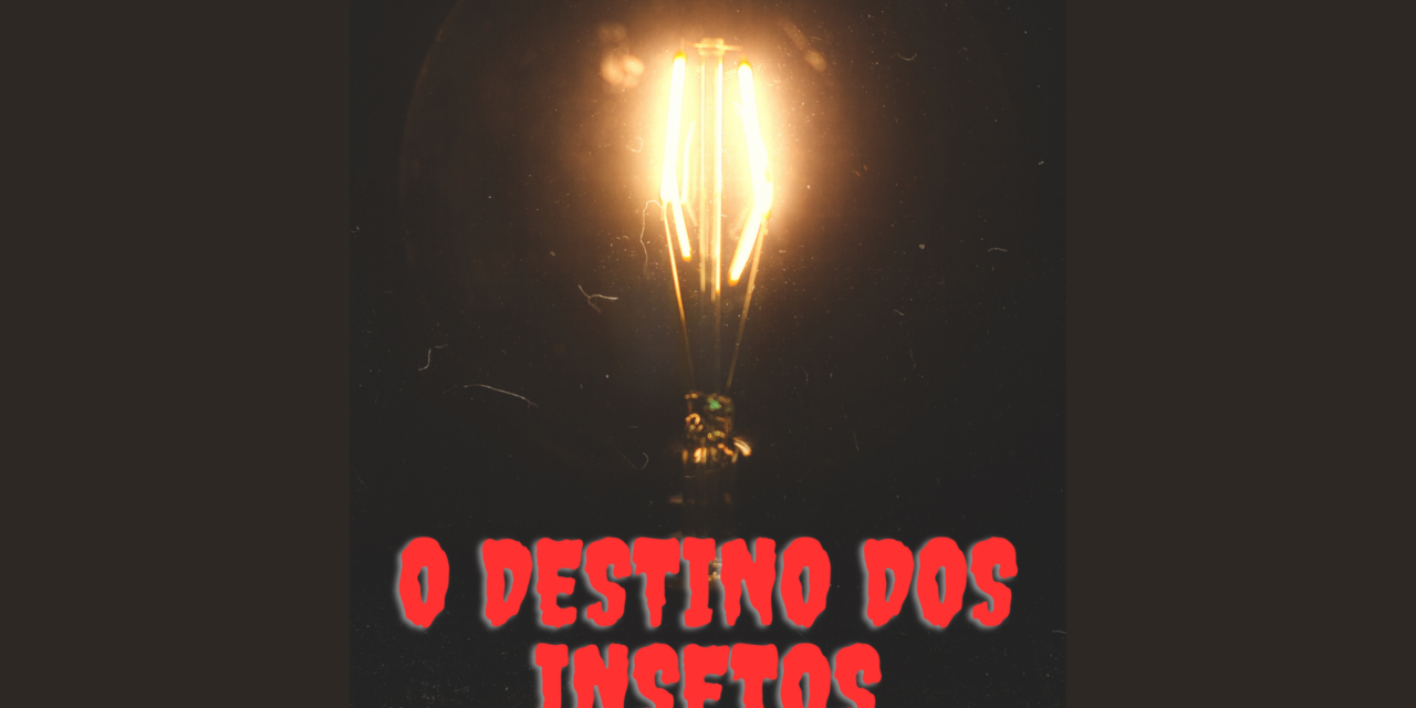 O destino dos insetos