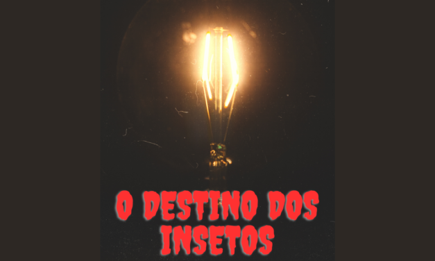 O destino dos insetos